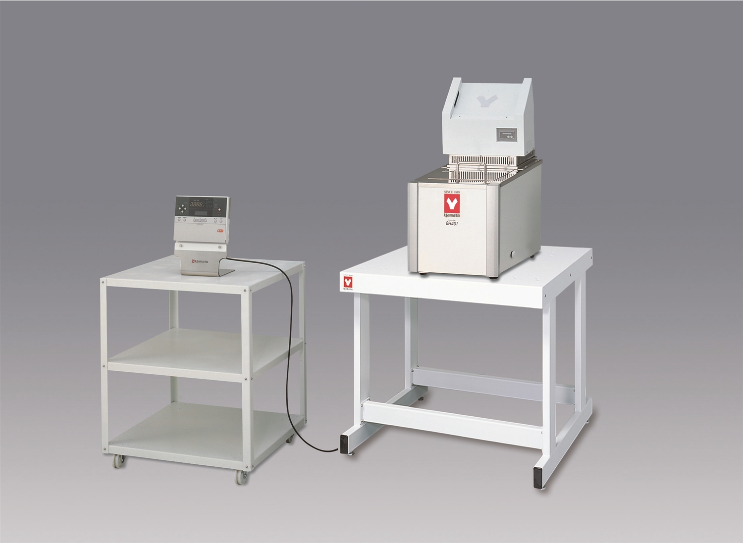 Water Bath (High Precision Constant Temp., Programmable) (BH501)
